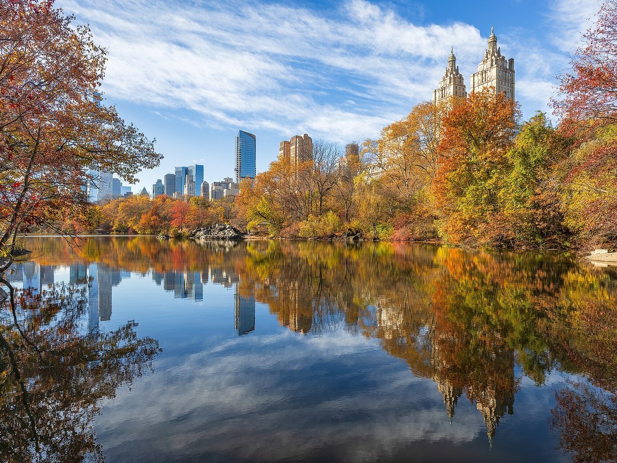 Herbstlich gefärbte Bäume im Central Park