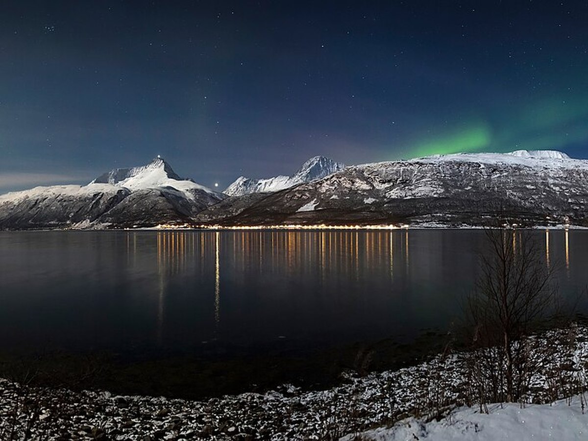 Grünes Polarlicht über einer nordischen Landschaft