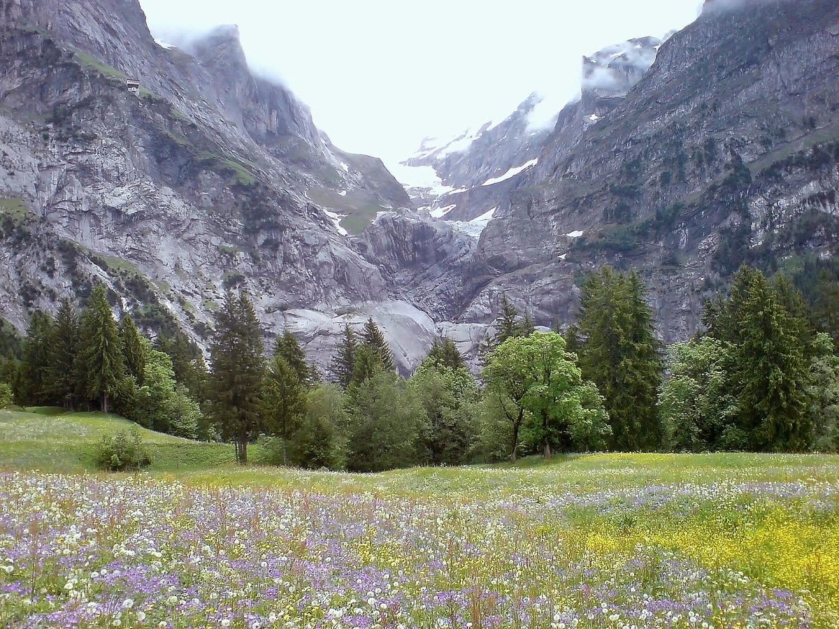 Panorama der Berner Alpen mit schneebedeckten Gipfeln