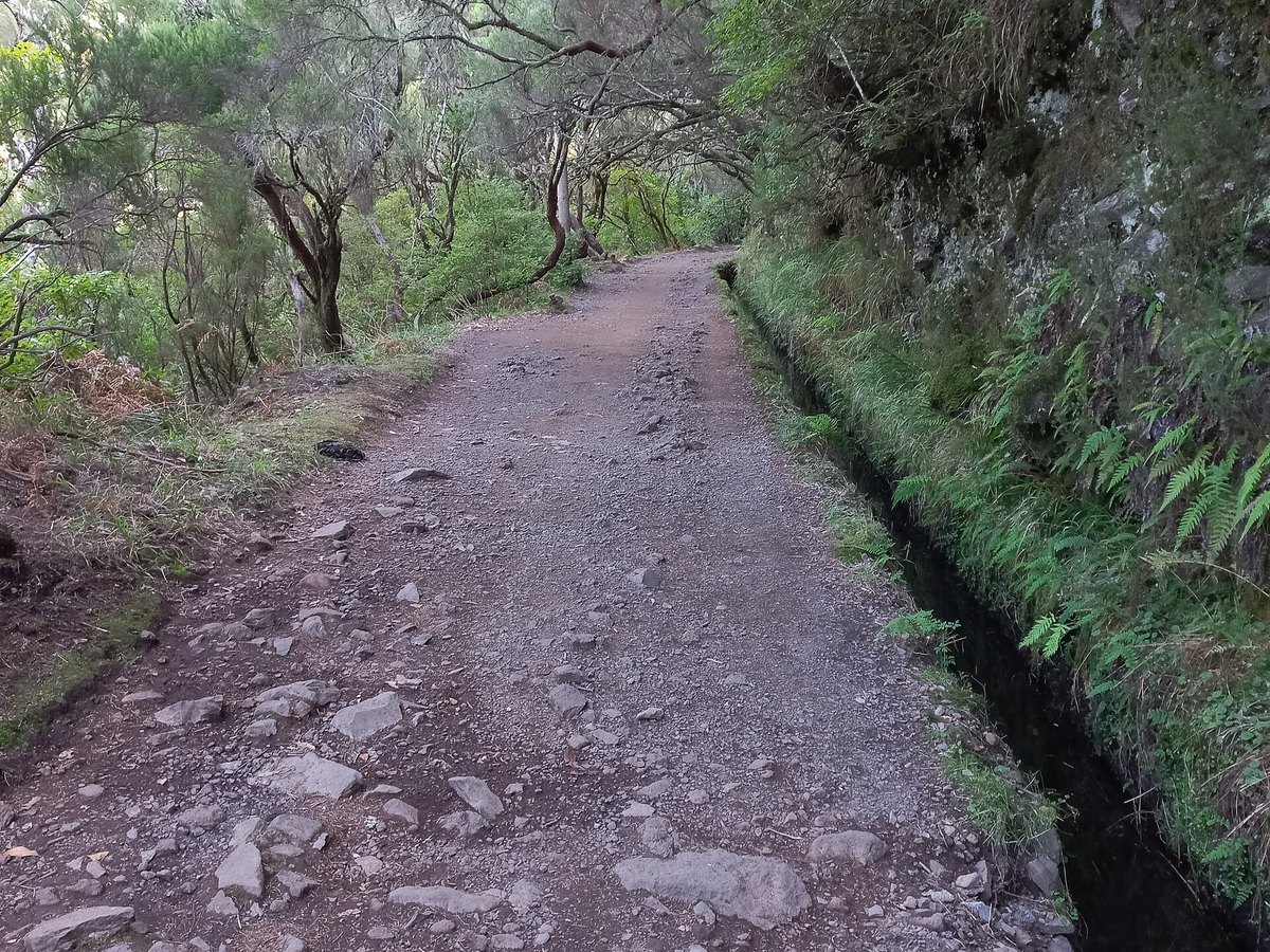 Wanderweg entlang eines Levada-Kanals auf Madeira