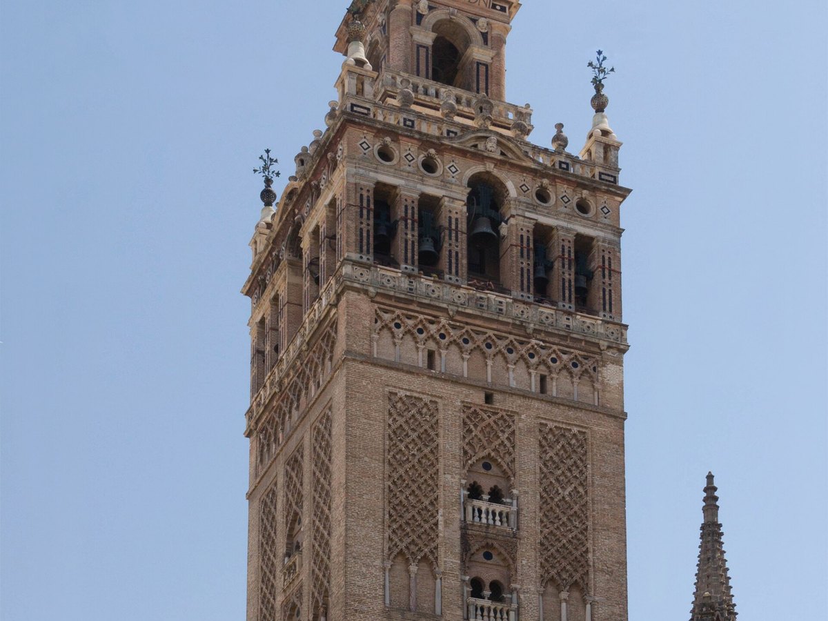Orangenbäume im Patio de los Naranjos an der Kathedrale von Sevilla