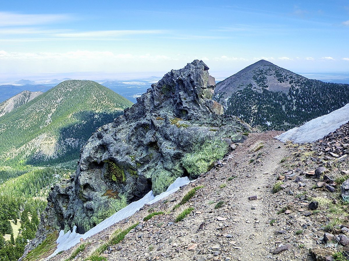 Wanderweg in den Alpen im Sommer